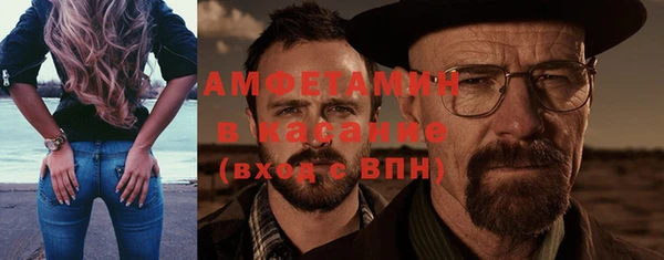 шишки Арсеньев