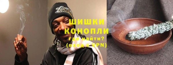 шишки Арсеньев