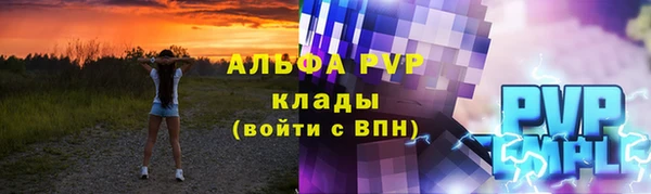 шишки Арсеньев