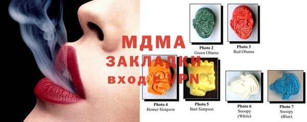 шишки Арсеньев