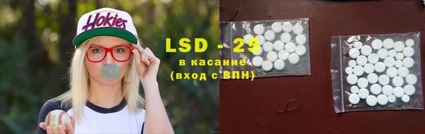 шишки Арсеньев