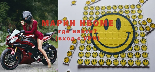 шишки Арсеньев