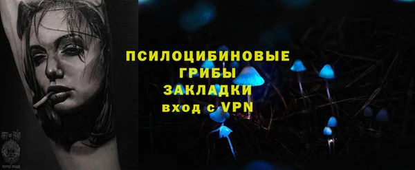 шишки Арсеньев