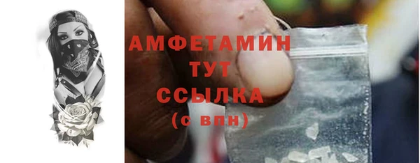 шишки Арсеньев