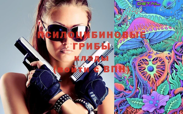 шишки Арсеньев