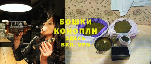 шишки Арсеньев