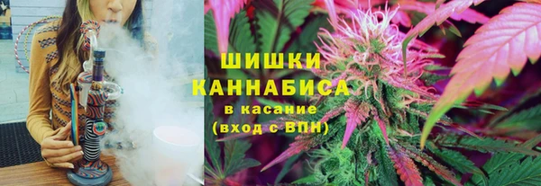 шишки Арсеньев