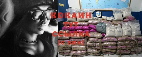 ПСИЛОЦИБИНОВЫЕ ГРИБЫ Аркадак