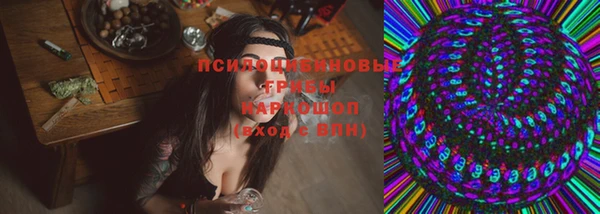 ПСИЛОЦИБИНОВЫЕ ГРИБЫ Аркадак